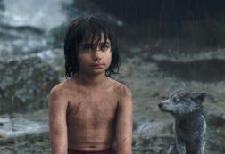 c81cc4e94a2cbc3424a885c5fa5e664c