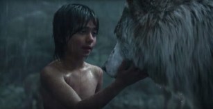 tumblr_o6jv8idEeU1v4z2g9o1_540