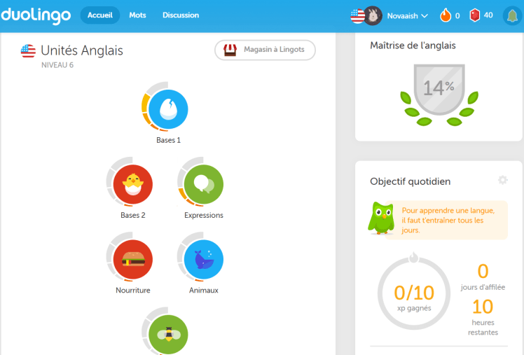 Duolingo 1